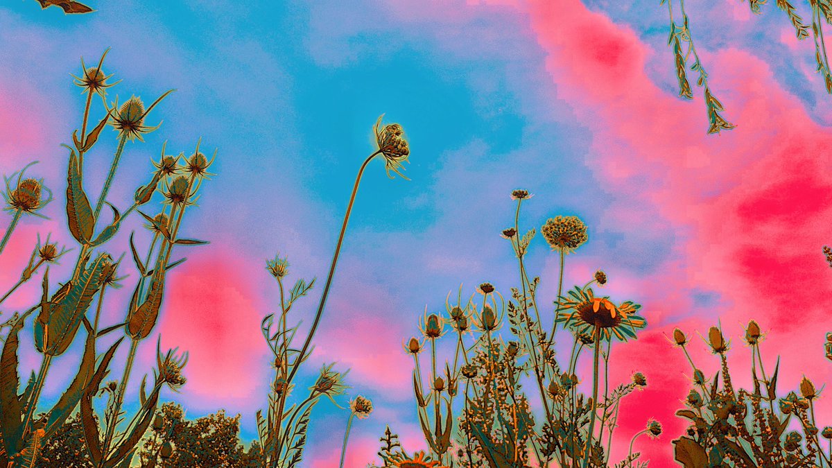 ❥ 𝙄𝙨𝙖 (@___june______) on Twitter photo 