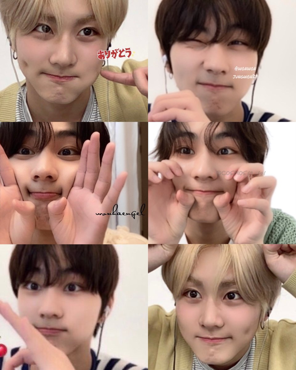 bbywoncat's tweet image. 