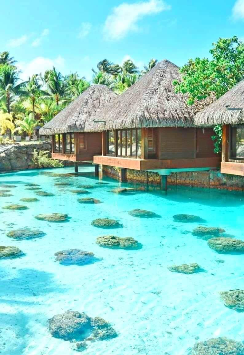 RubyJohnso36290's tweet image. Bora Bora