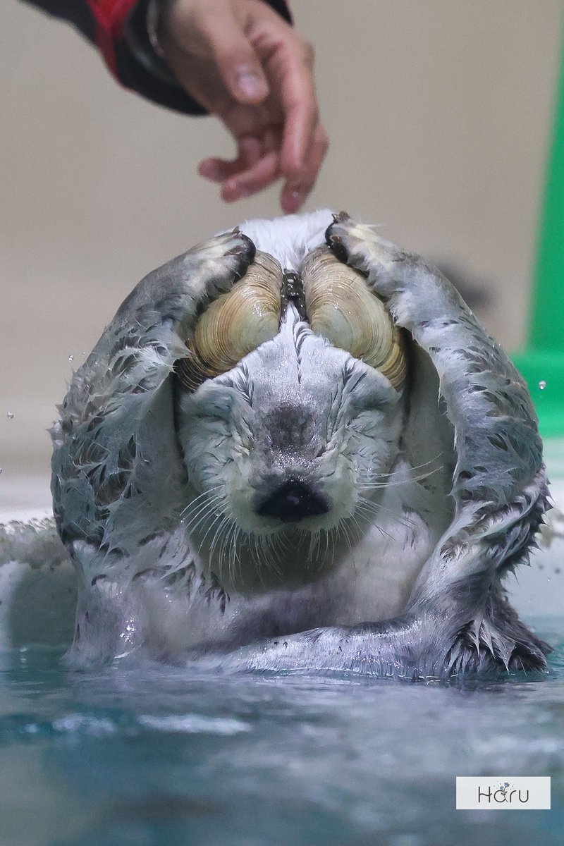 石花海🌨 (@mol1222) / Posts / X