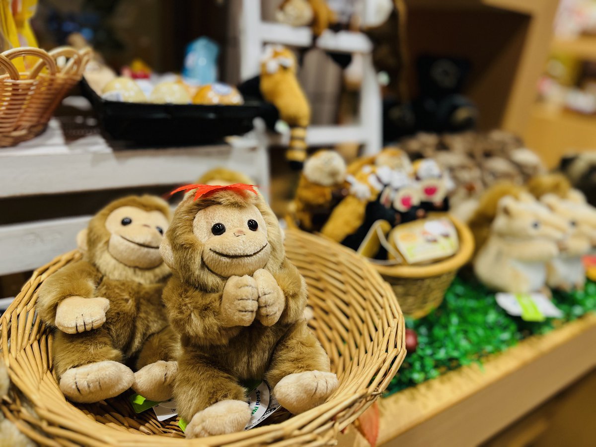 浅草橋本店】 今日の浅草橋は一日中雨でした☔️ 少し暑さが和らいだ