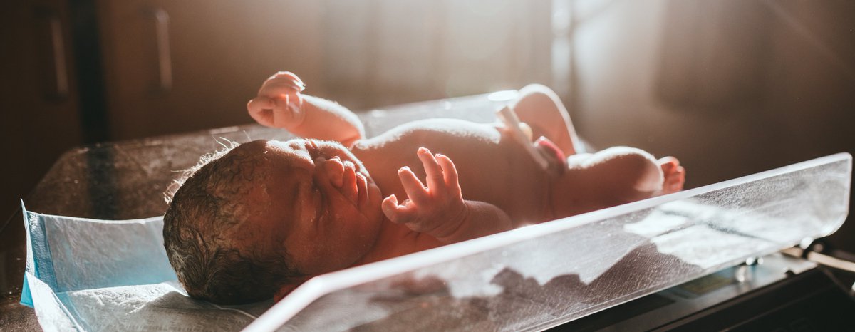 Un bebé que fue concebido en 1994 ha visto la luz este mes de julio tras más de 3 décadas preservado como embrión. Un caso que desafía límites y plantea dilemas bioéticos importantes.
👆 Detalles aquí: bit.ly/3VDC0Vu