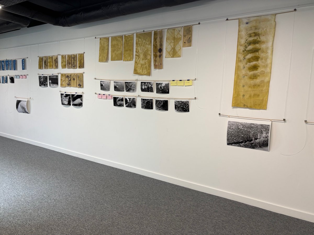 corkcolibrary's tweet image. Aoife Desmond, in collaboration with Bandon River Trust, Bandon Environmental Action Group and Creative Bandon, has a fantastic collection of photographs and prints titled ‘River Guardians’ on display in  #bandonlibrary .

It can be viewed during the month of September so be sure…