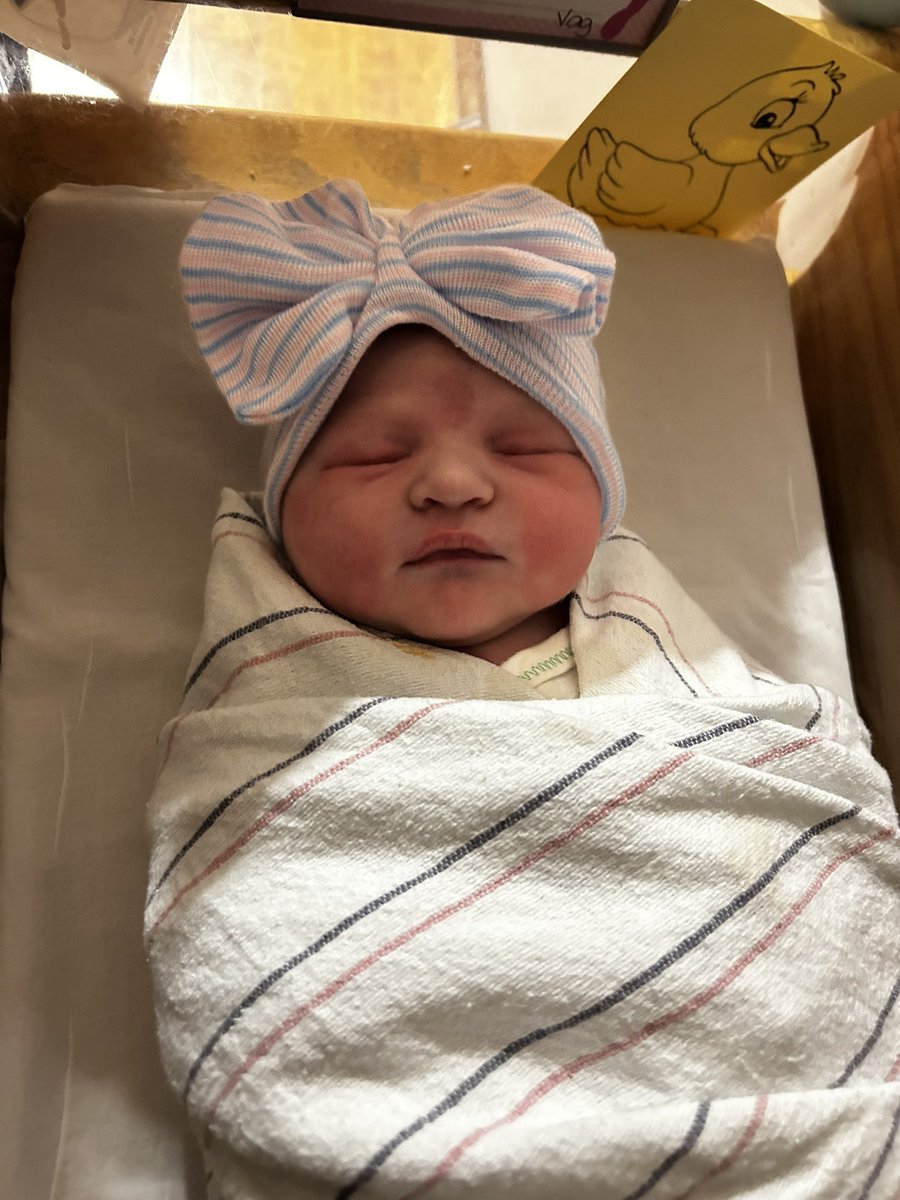 abbnormal_123's tweet photo. We made our entrance yesterday morning✨💗 I’m in love. https://t.co/NO4XDazPam