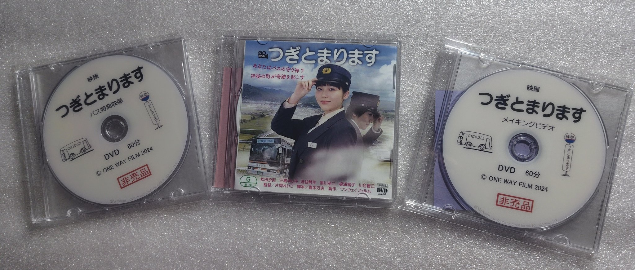 レプリア 若気の至り 非売品DVD vistlip前身 レプリア 若気の至り 非売品DVD vistlip前身