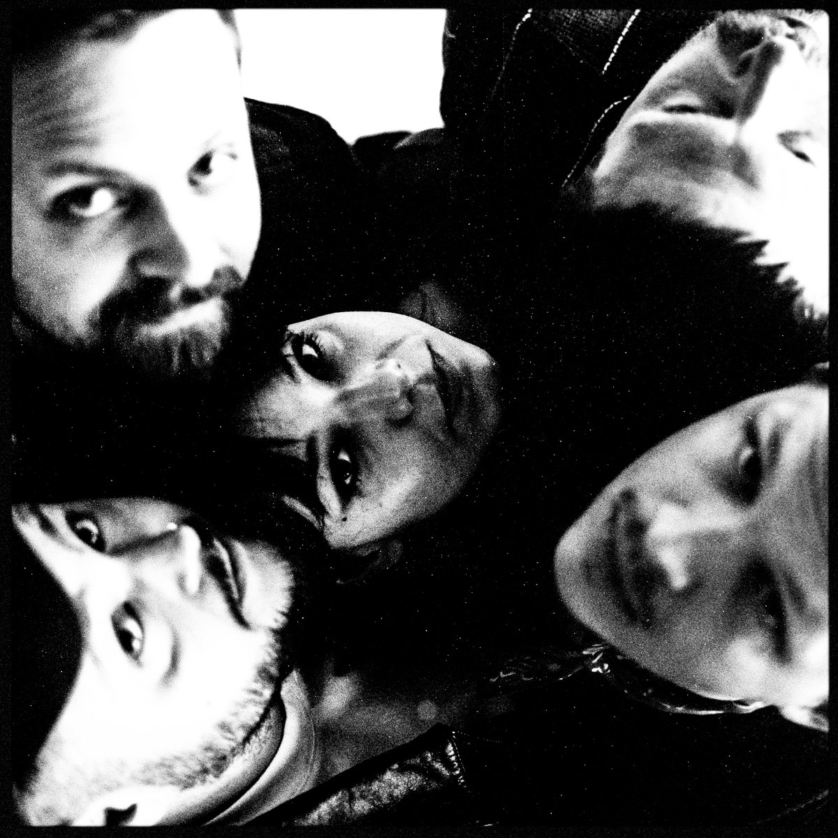 Of Monsters and Men tweet media
