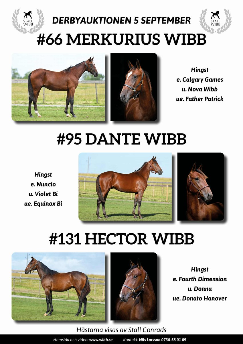 Idag är det dags för derbyauktionen!
Välkomna till Stall 28 där Stall Conrads visar hästarna 😀👍
menhammaronlinesales.se/?s=wibb&post_t…