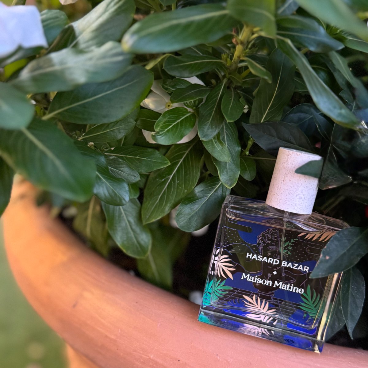 Maison Matine｜アザー バザー バニラとトンカマメの温もり。 花椒と