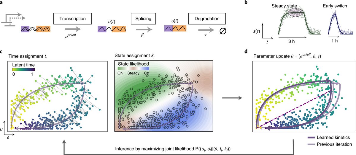 Gian Marco Franceschini tweet media