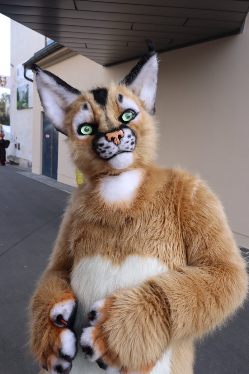 Na, wer freut sich da über sein neues Fell? Vielleicht du?
Unser Suitverleih macht's möglich!
Du hast keinen Suit, aber willst unbedingt mal erleben, wie sich das so anfühlt?
Dann erfülle dir den Wunsch und miete dir einen Leihsuit für eines unserer Events!
Viel Spaß im Fell!