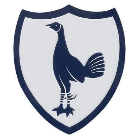 Happy Birthday to the love of my life THFC #thfc #COYS