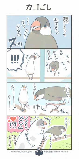 さつきちゃん、ひょっとして結構ツンデレさんなのかもしれません…?

#漫画が読めるハッシュタグ #buncho #文鳥 