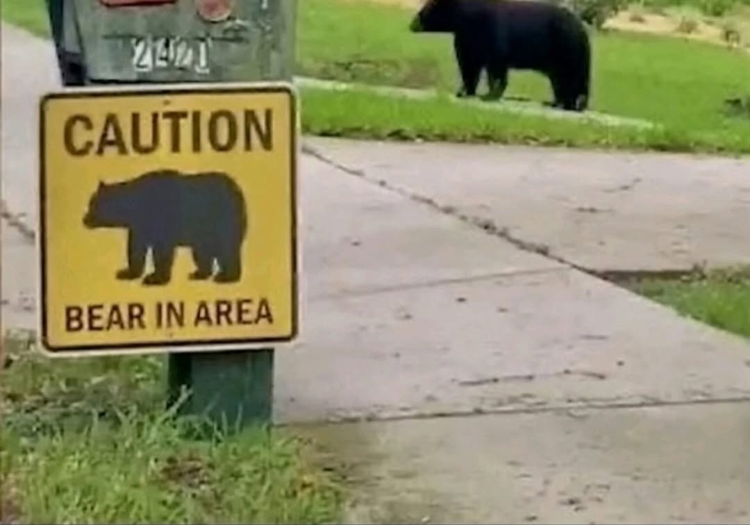 Grande (@sixrande) on Twitter photo 