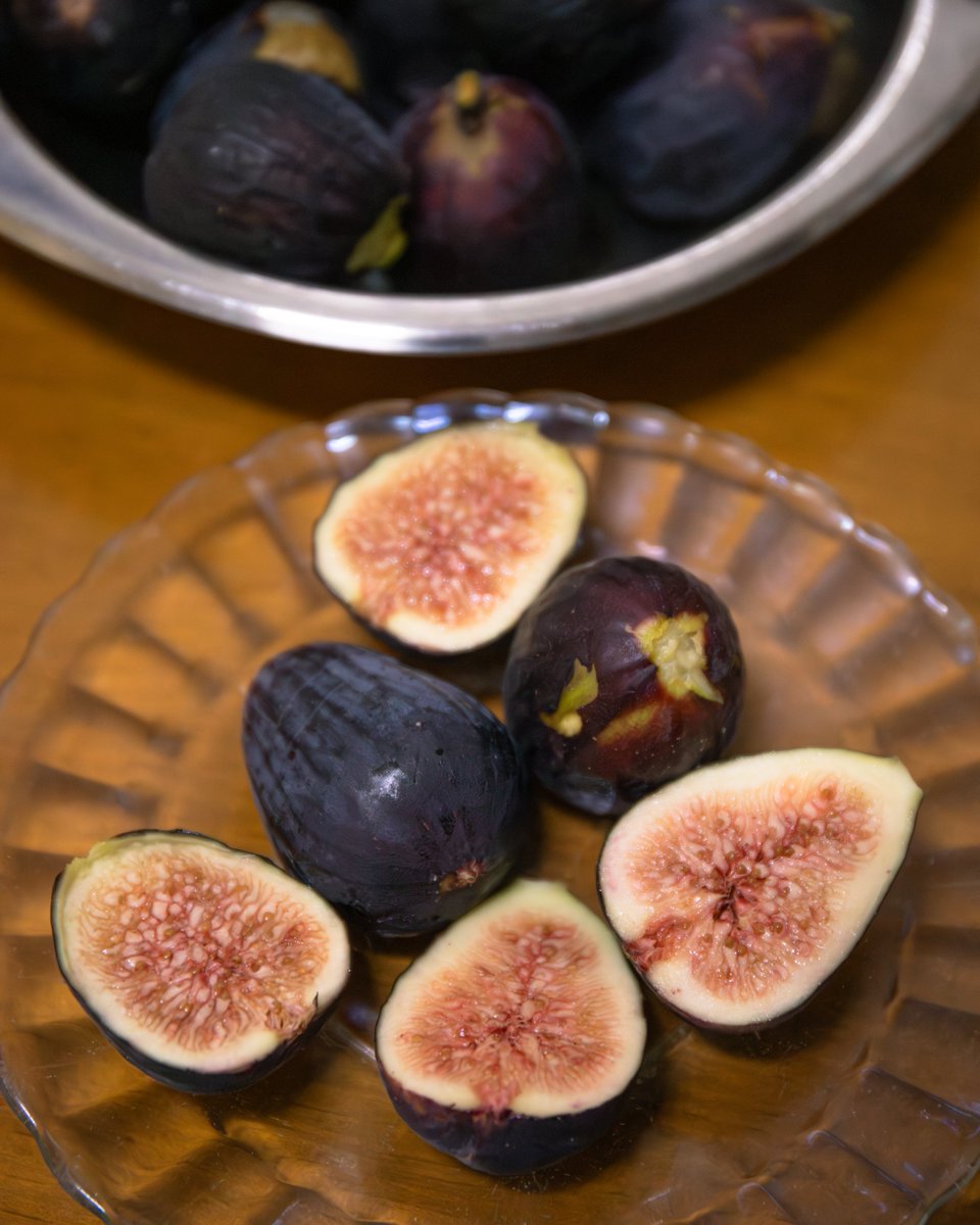 Parece que el verano se va, pero nos deja un álbum lleno de postales que no necesitan sello, porque las guardamos en la memoria. Si este verano lo has disfrutado en la #VegaBajadelSegura, seguro que has hecho alguna de estas cosas…🌞
Cuéntanos… ¿Cuál es tu postal del verano? 📬