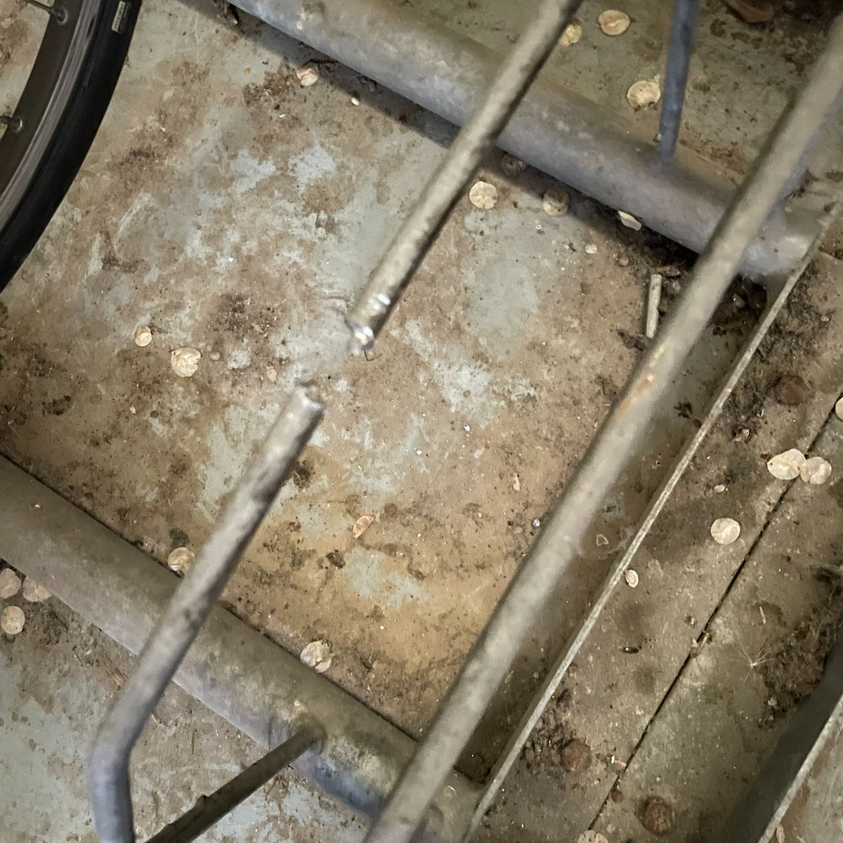glucidite's tweet photo. Du coup j'utilisais le local prévu à cet effet et l'année dernière il avait déjà disparu, rebelote cette année, ils ont scié les portes vélos et sont partis avec plusieurs. Quand je me suis pointé au secrétariat on m'a dit que j'étais le quatrième de la journée :( https://t.co/aIt0ccfEBF