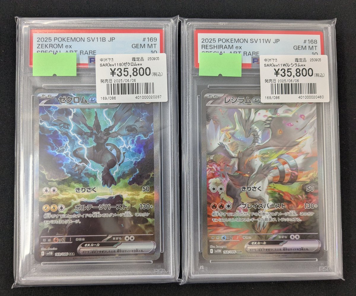 ゼクロムex SAR PSA10 鑑定品 状態難/PSA10鑑定済〕ゼクロムEX(SR仕様)【P】{159/BW-P}