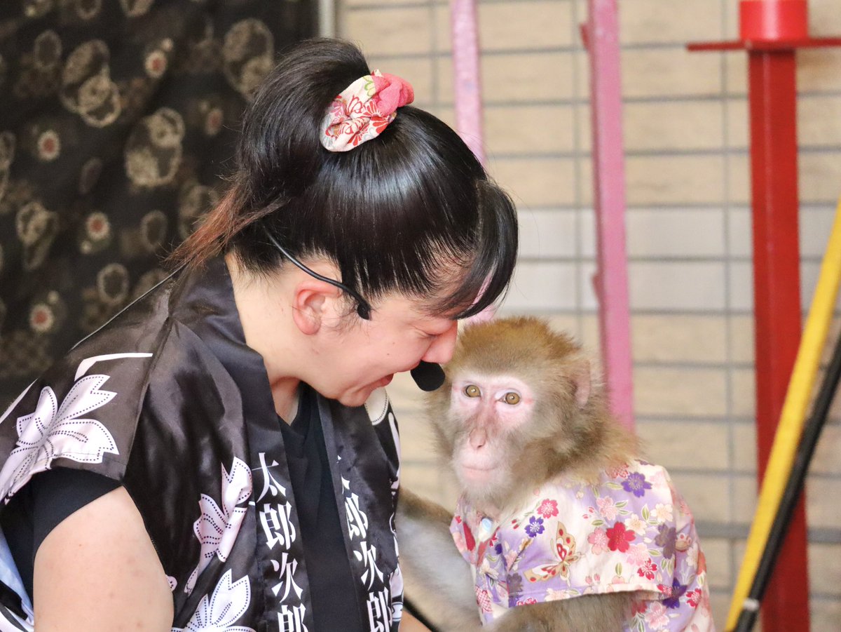 __nnooee__'s tweet photo. おむつをチラ見せしながらでも、毛繕いに真剣なあおいちゃん

#あおいえみ 

0831 https://t.co/ojTW7pVkEx