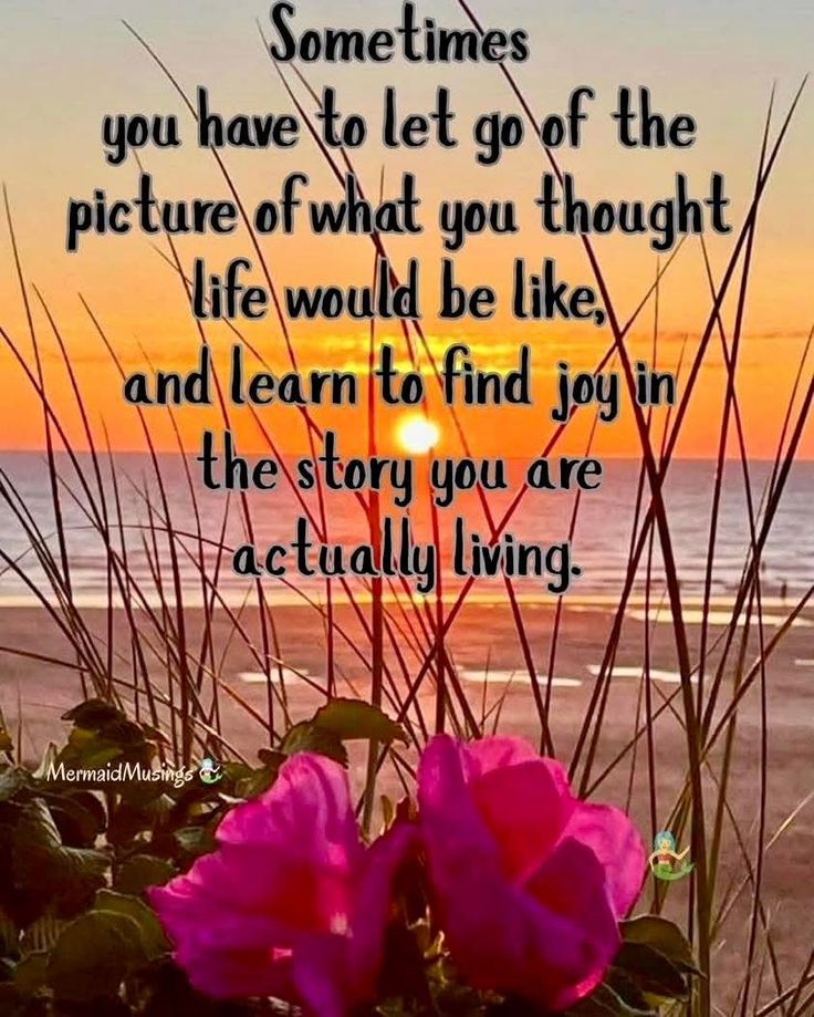 Good morning, Twitter family! Happy Friday! Our lives don't always follow the path we set out for ourselves. We don't always meet all our goals on the timeline we set. That's okay. Learn to find joy in the life you have. Have a wonderful day. Much love to you all. Always. 💜🌼☮️