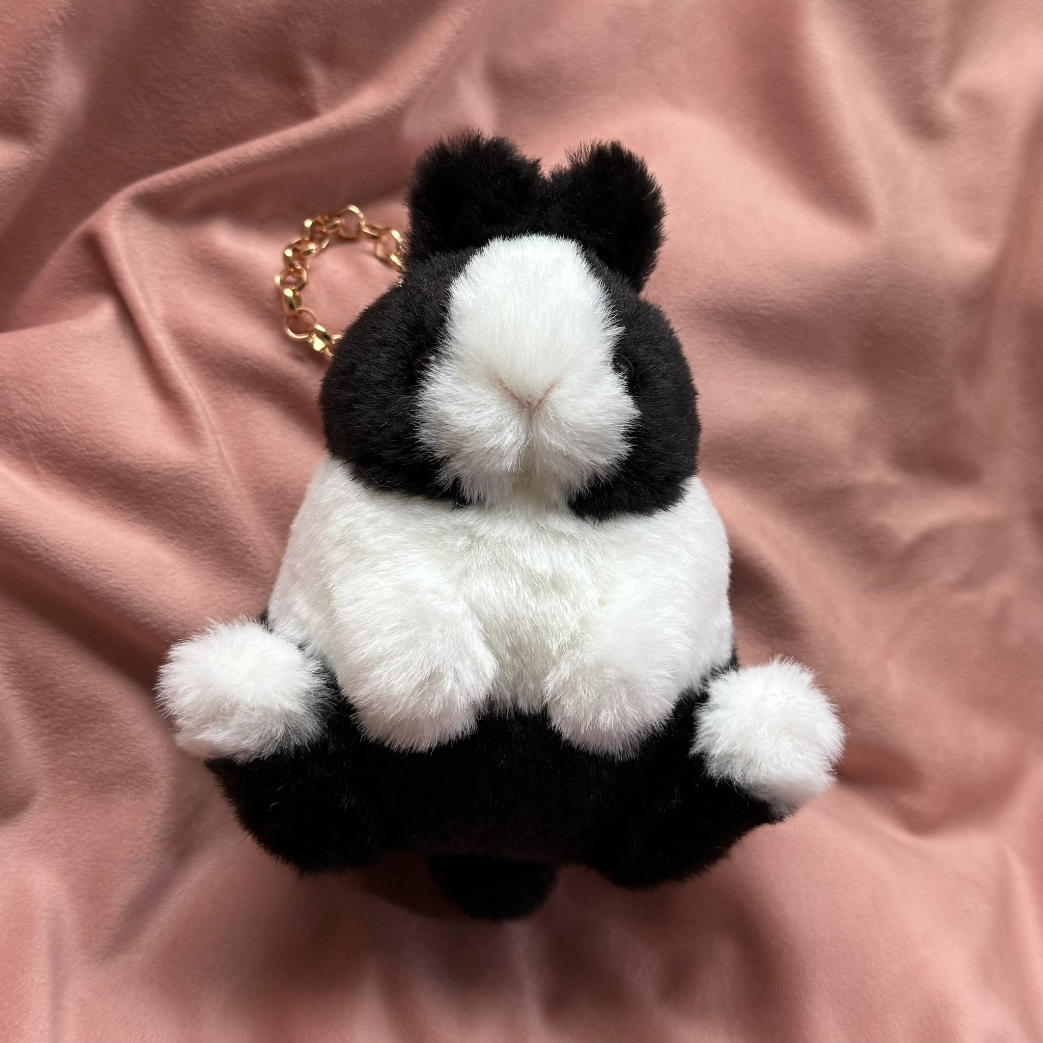 Bonita Rabbits🐰 on X: 