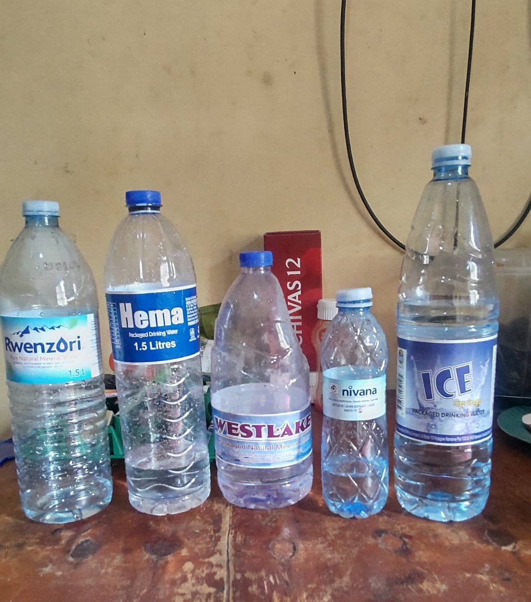 What is your favourite