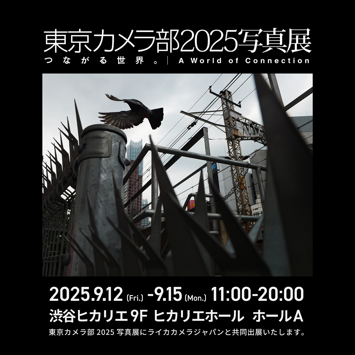 ＼イベント出展のお知らせ／​
9/12(金)～9/15(月・祝)に、渋谷ヒカリエ9Fで開催される「東京カメラ部2025写真展 in Hikarie」に、LUMIXとライカが共同出展いたします！​

共同出展するLUMIXとライカ、両ブランドが採用するLマウントの魅力は、カメラとレンズを自由に組み合わせられる点にあります。