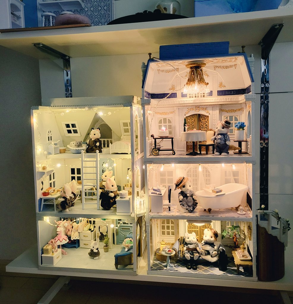 昨日は眠れなくて、
だから今日は眠れますように🌜️
#シルバニア
#シルバニアファミリー
#シル活