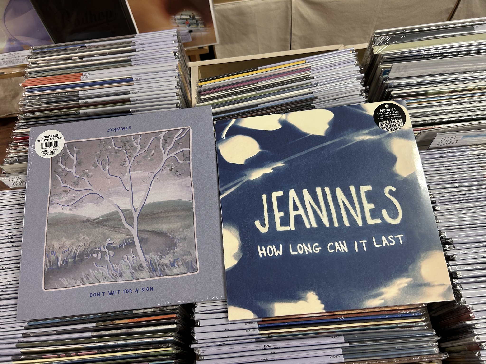 【いちごメロンパン】BLANKS UP THE SYSTEM レコード いちごメロンパン様専用】BLANKS UP THE SYSTEM レコード
