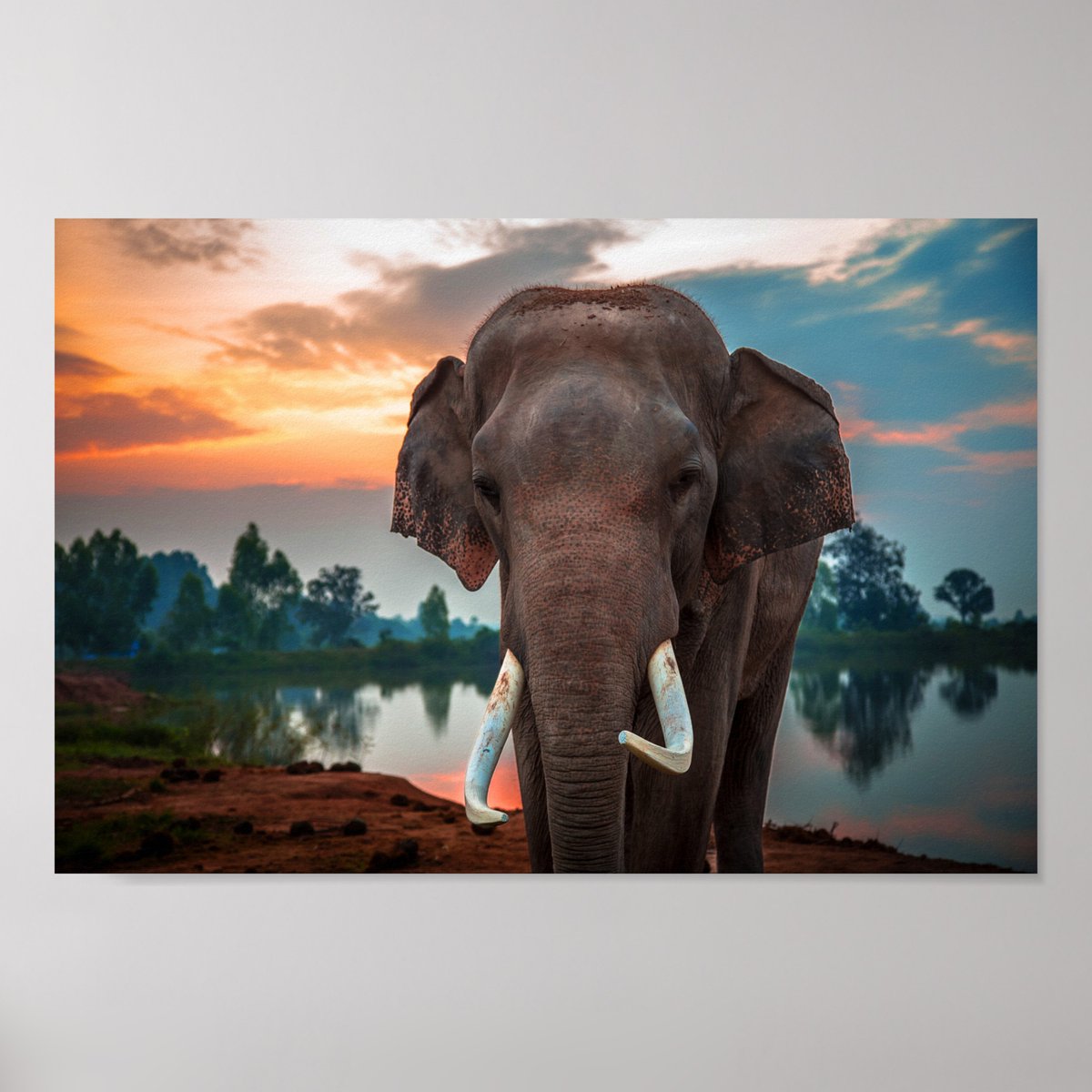 DianeAuriemma's tweet photo. Wild Elephant Poster https://t.co/rI7ryXJWsu via @zazzle 
#ElephantPoster
#NaturePoster  
#AnimalArt 
#zazzle https://t.co/j5CQGzV34c