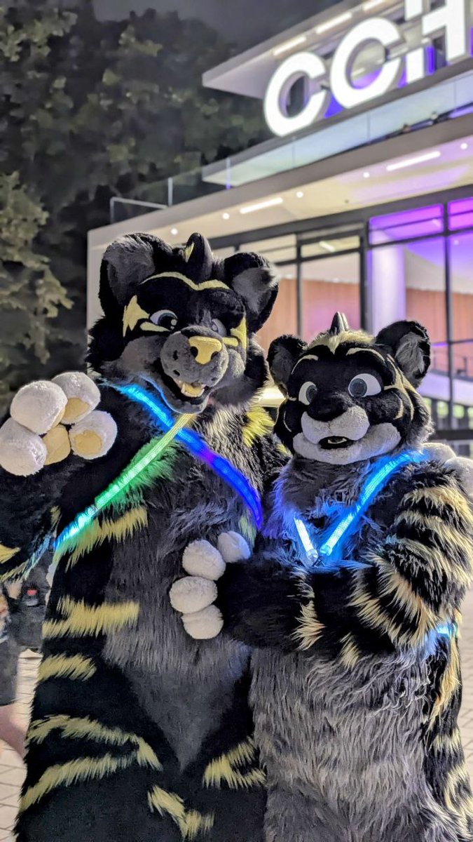 Double Mau Trouble at the CCH 🥰