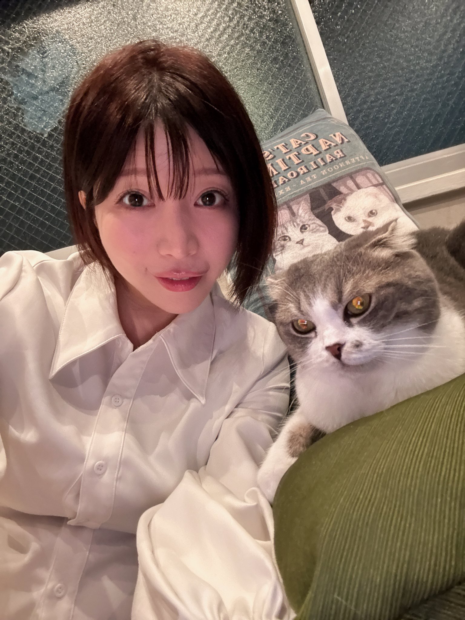 ねこばーぐページ Amazon.co.jp: ヤマソロ ペットベッド 猫ちぐら風 キャット