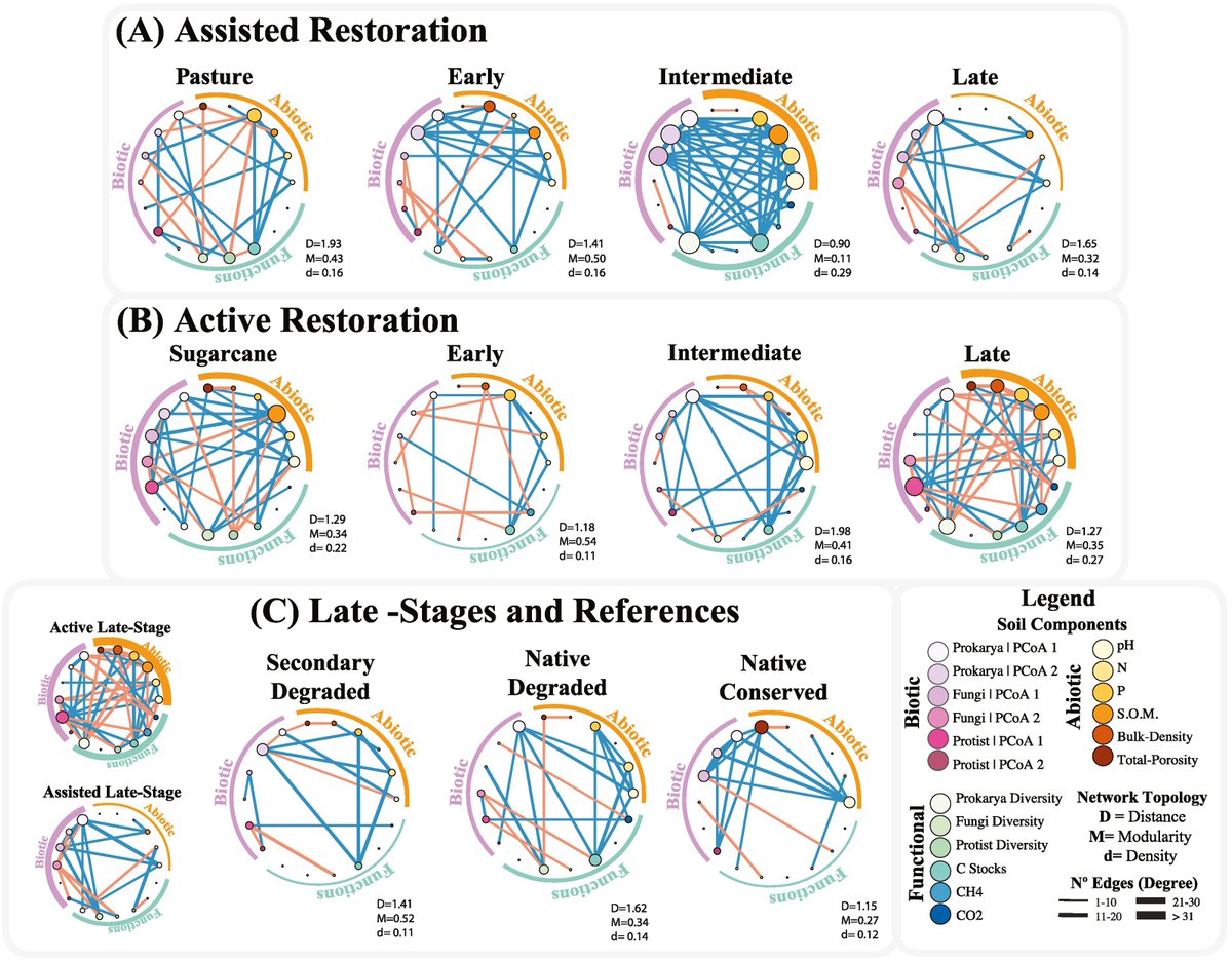 niooknaw's tweet image. New publication: Recovery of below-ground associations in restored Brazilian Atlantic Forest, by @Dina_intZandt @wimvanderputten and others. #biodiversity #forest #ecosystemfunctioning #Brazil #ecologicalnetwork
doi.org/10.1016/j.apso…