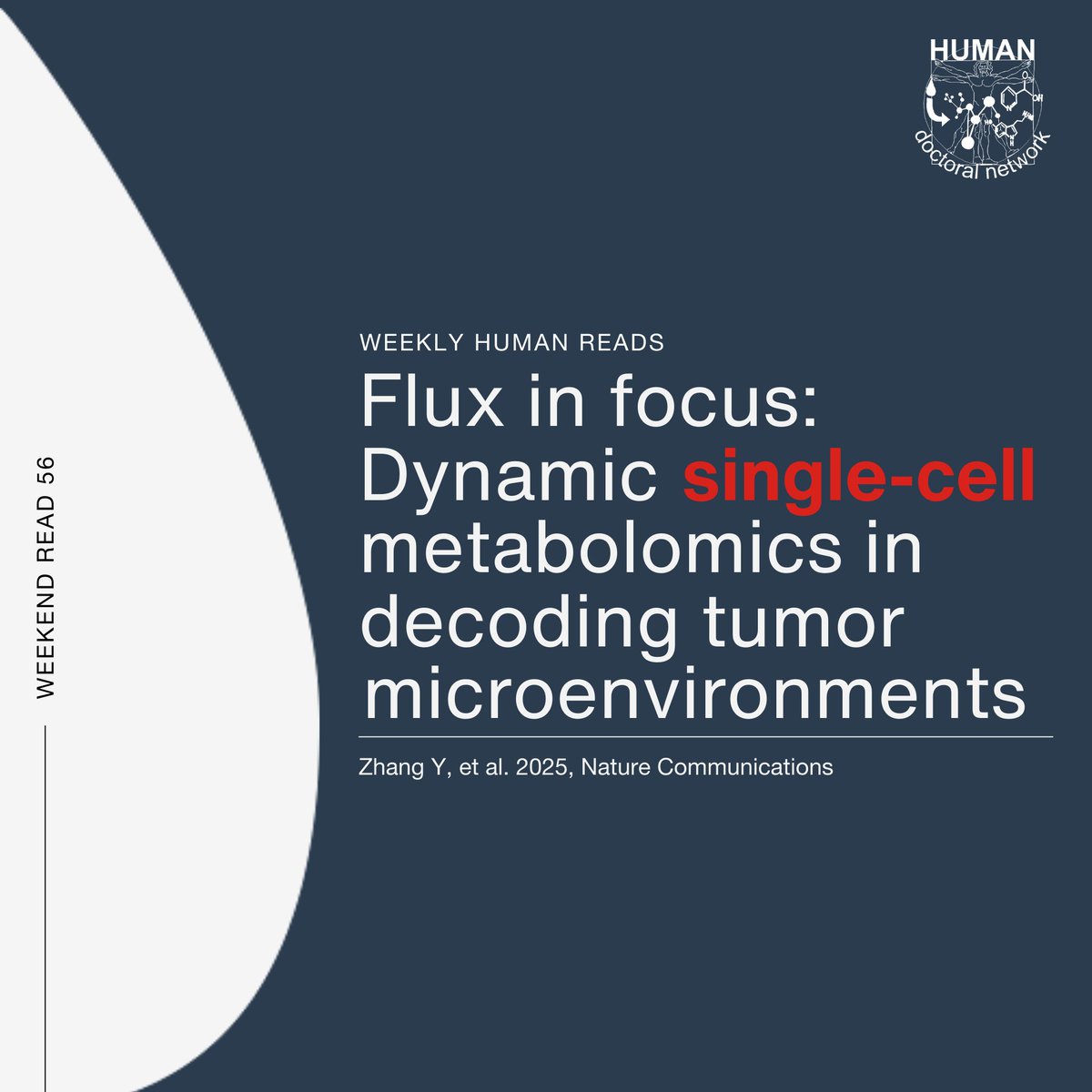 HUMAN Doctoral Network tweet media