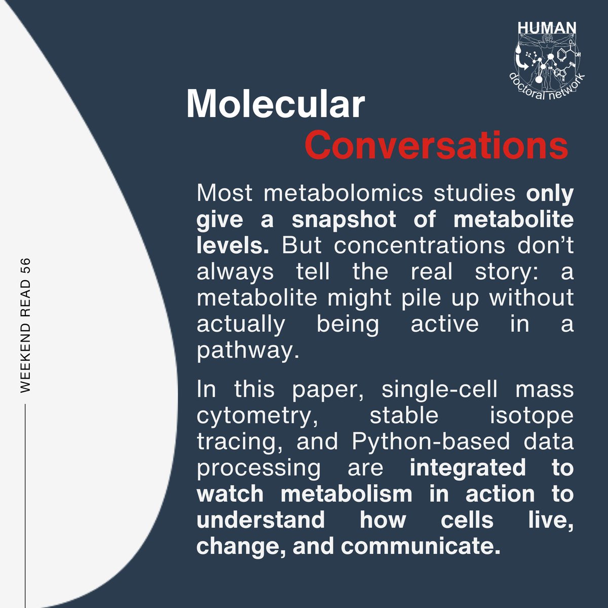 HUMAN Doctoral Network tweet media