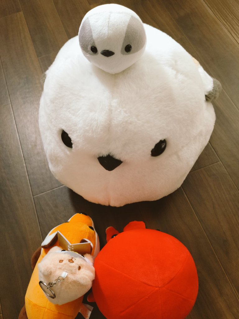 豆もやし (@moyashisan7) / X