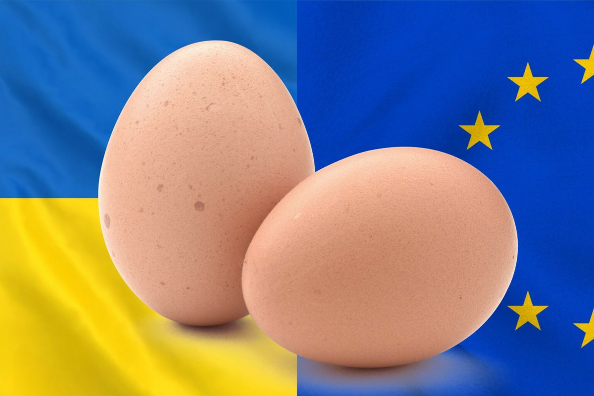 Poultry World_global tweet media