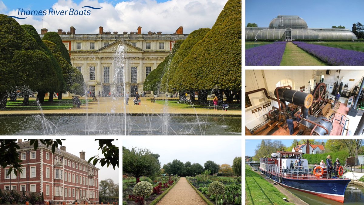 Thames River Boats tweet media