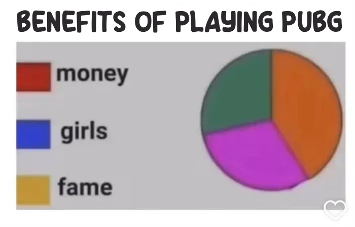 SteveTheHappyWhale 🐳 tweet media