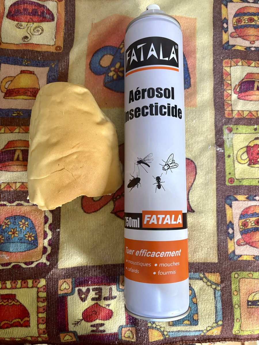 ‘ Give us this day our daily bread…🤲🏾