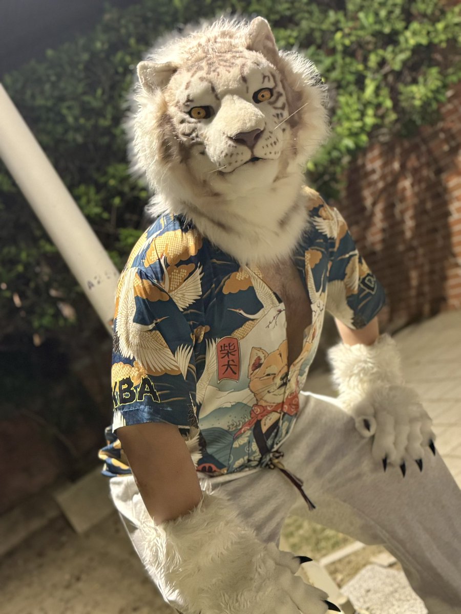 UminekoFursuit's tweet image. 【Barquero 冥海】
Hey, what’s a cutie like you doin’ out here? Come with me, I’ll take ya someplace fun.
嘿小可愛,自己一個人嗎?
跟哥哥我一起去快活快活唄~
📷:淚熐、多多
#FursuitFriday #Ardu #Furry #Furro