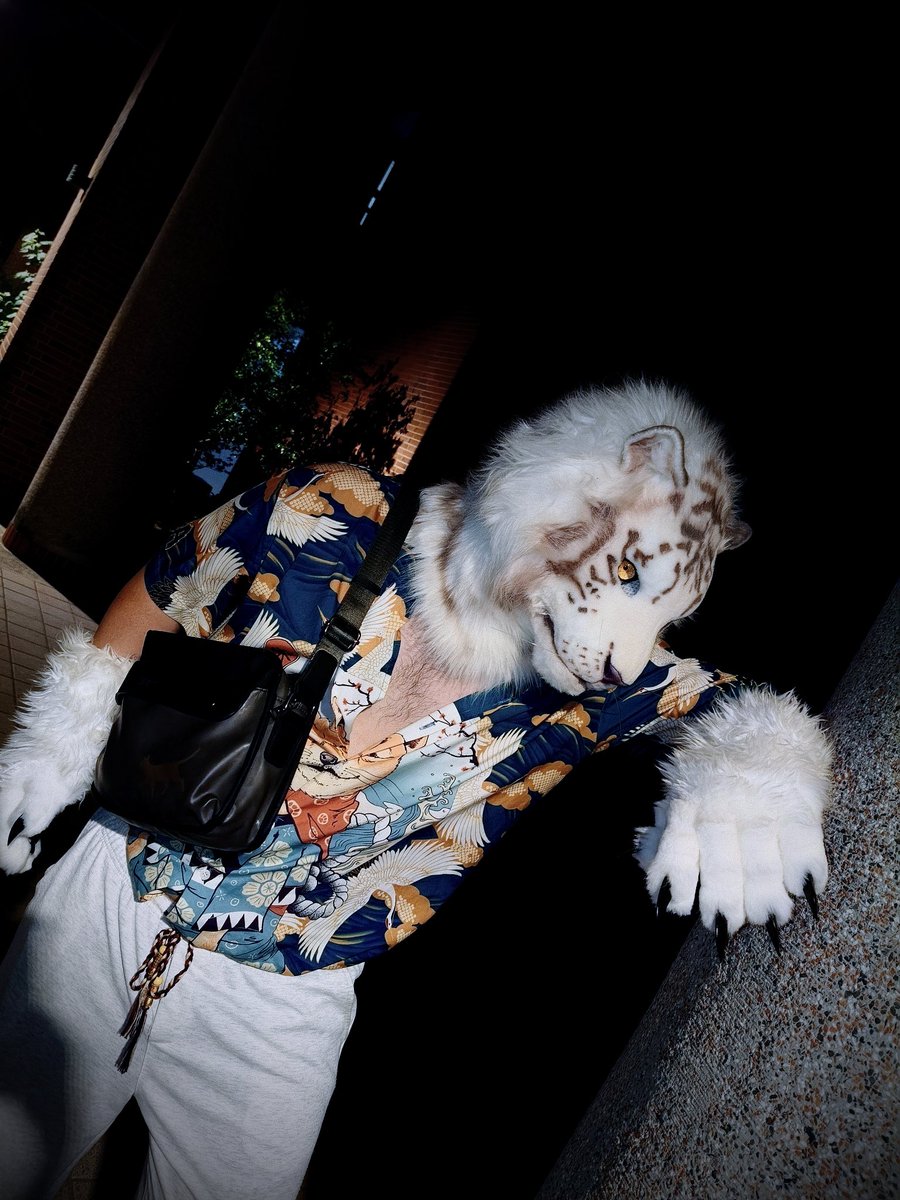 UminekoFursuit's tweet image. 【Barquero 冥海】
Hey, what’s a cutie like you doin’ out here? Come with me, I’ll take ya someplace fun.
嘿小可愛,自己一個人嗎?
跟哥哥我一起去快活快活唄~
📷:淚熐、多多
#FursuitFriday #Ardu #Furry #Furro