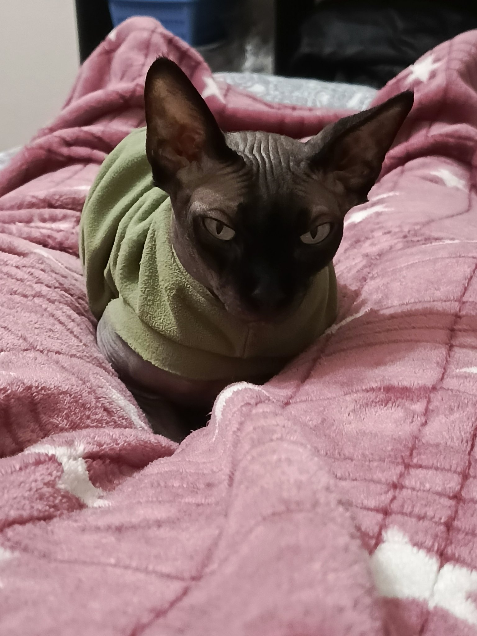 G0EziLeWsAAck2O?format=jpg&name=large