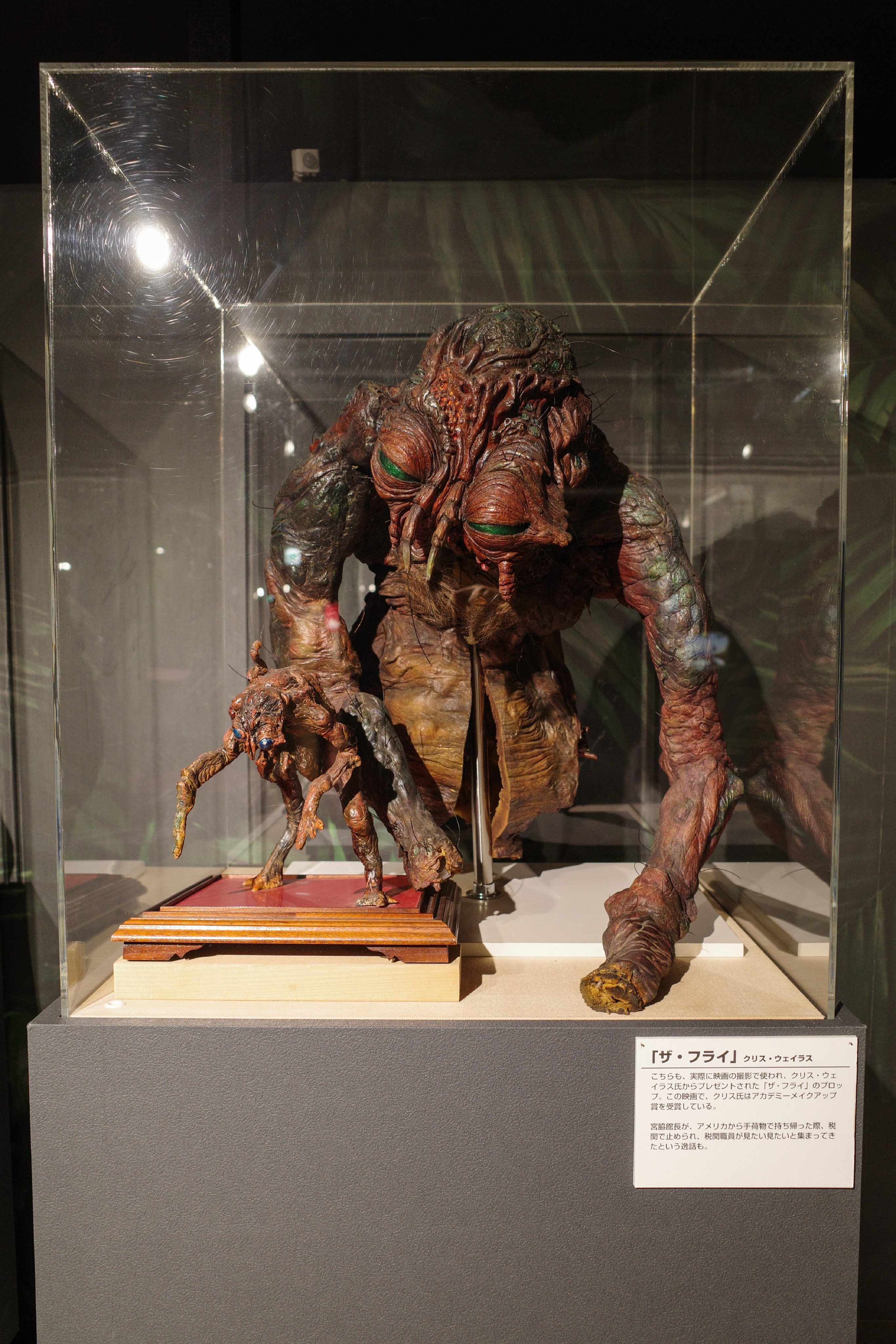 蘭々 (@runlan_learn) / X