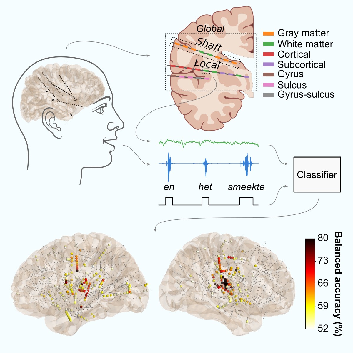 Can we move beyond the motor cortex for speech neuroprosthetics? We've explored just this question in our paper published today in Cell Reports!🧠
sciencedirect.com/science/articl…