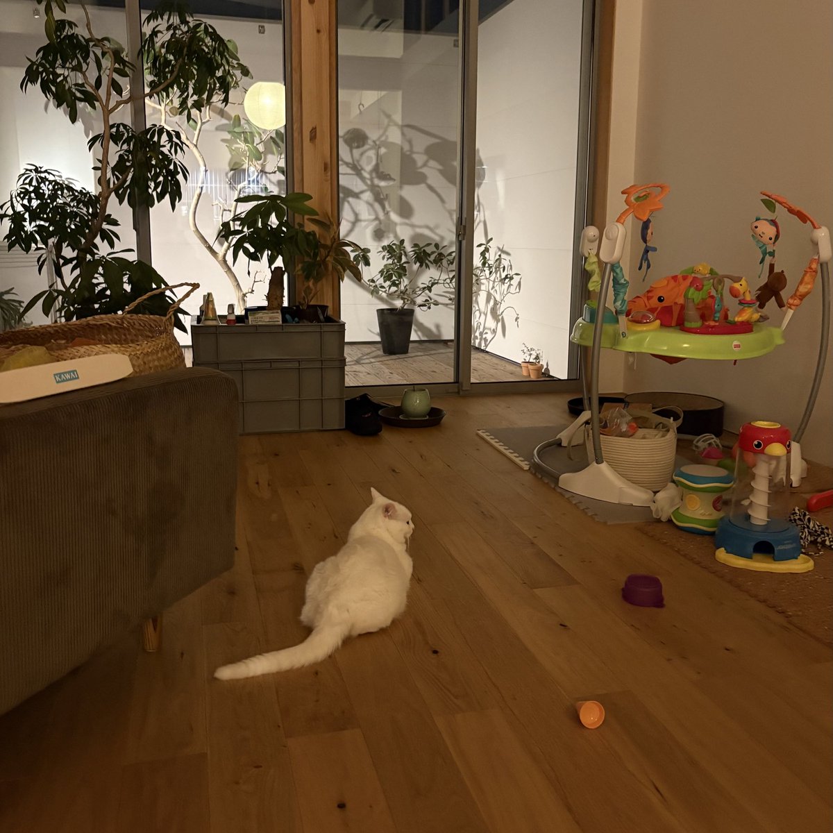 おやもち

静かな時間を満喫されてましたね