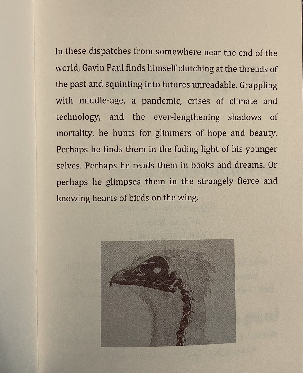 jgavinpaul's tweet photo. My new book is now available(!) Really proud of his this turned it…If you are interested in checking it out, my thanks #amwriting https://t.co/cpe5fdnTit