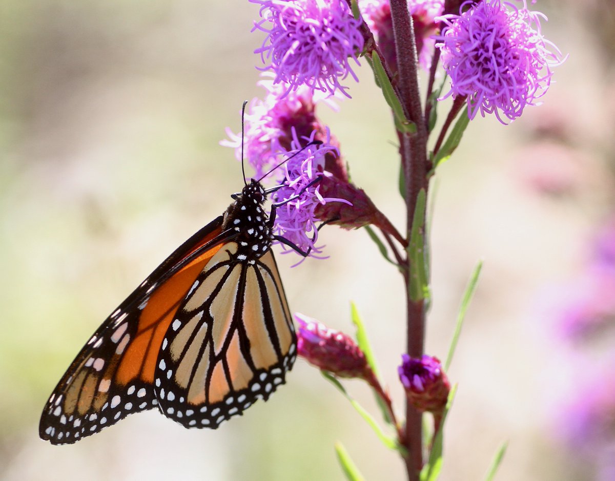 John@TheNews (@johnatthenews) on Twitter photo 