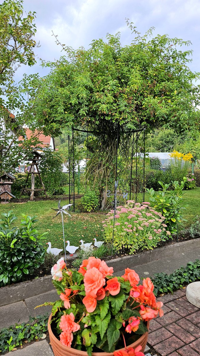 Im Garten sitzen, noch geht es, es sieht nach Regen aus ☔️