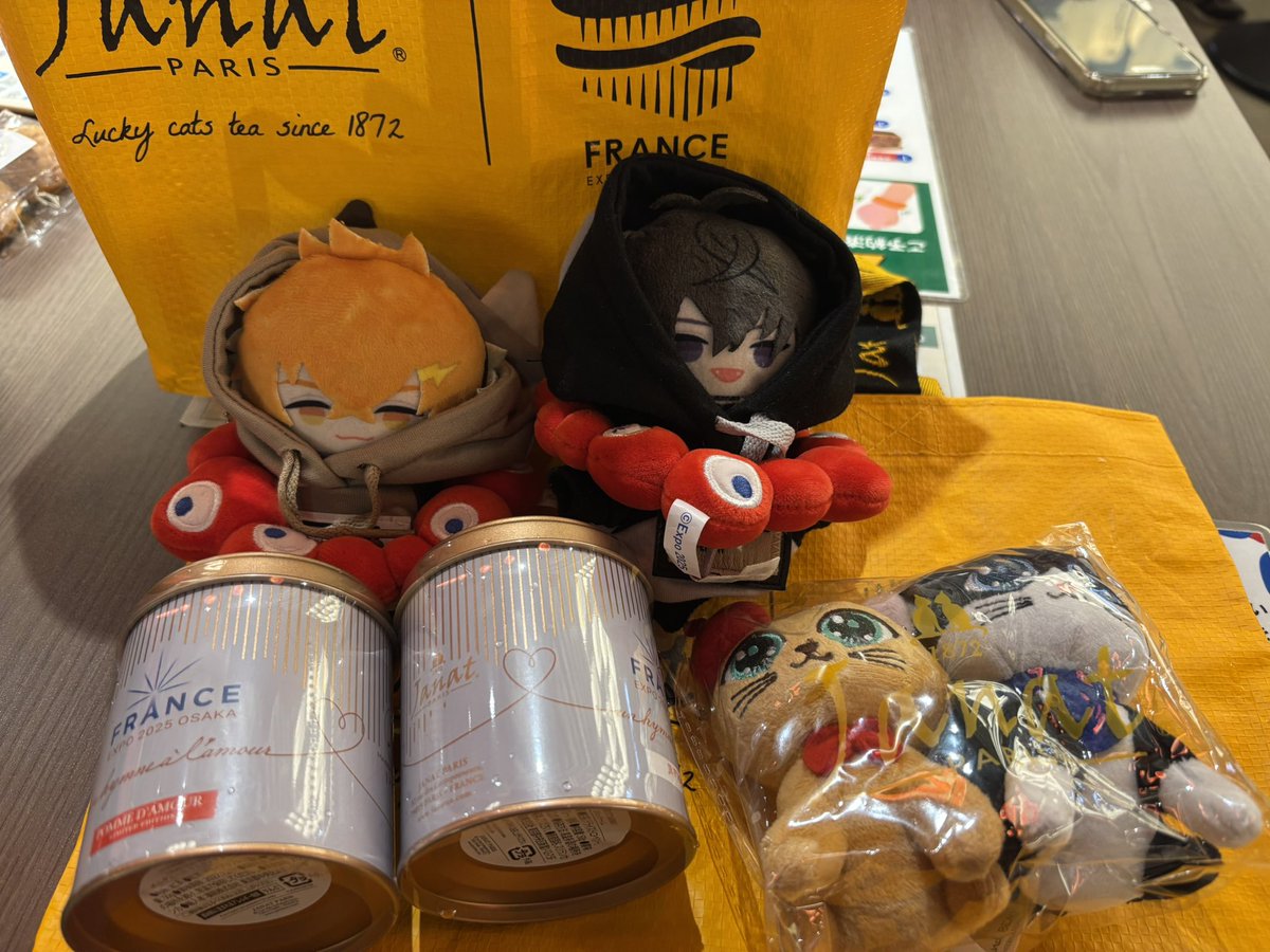 万博 フランス ぬいぐるみと紅茶セット 大阪関西万博✨備忘録
