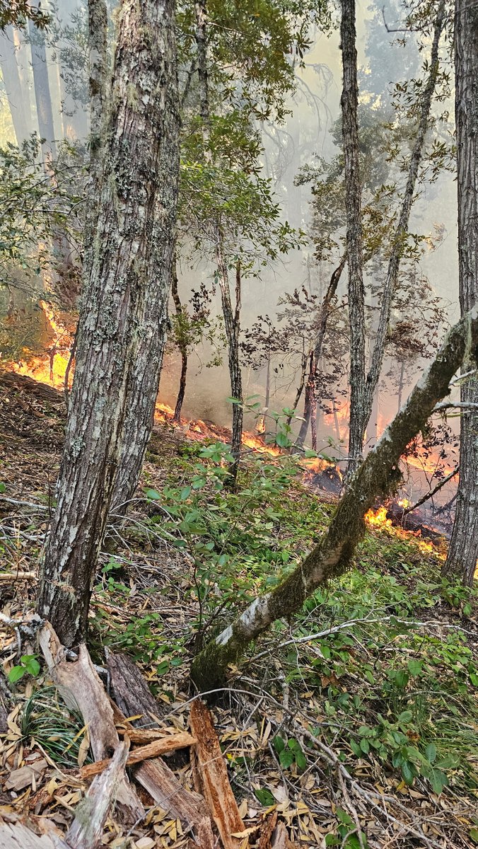 ODF Southwest tweet media