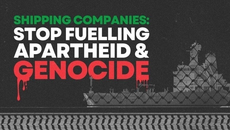 IMOclimate tweet media